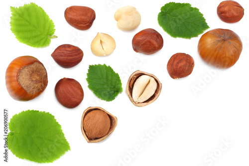 hazelnuts with leaves isolated on white background. top view