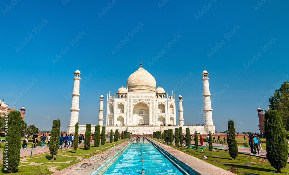 Obraz premium The Taj Mahal, the most famous monument of India. Agra - Uttar Pradesh