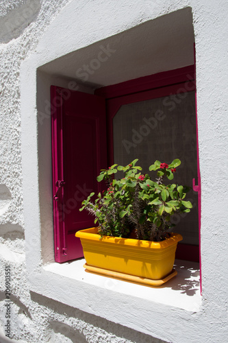 A beutiful pink window with a yellon pot in front © George