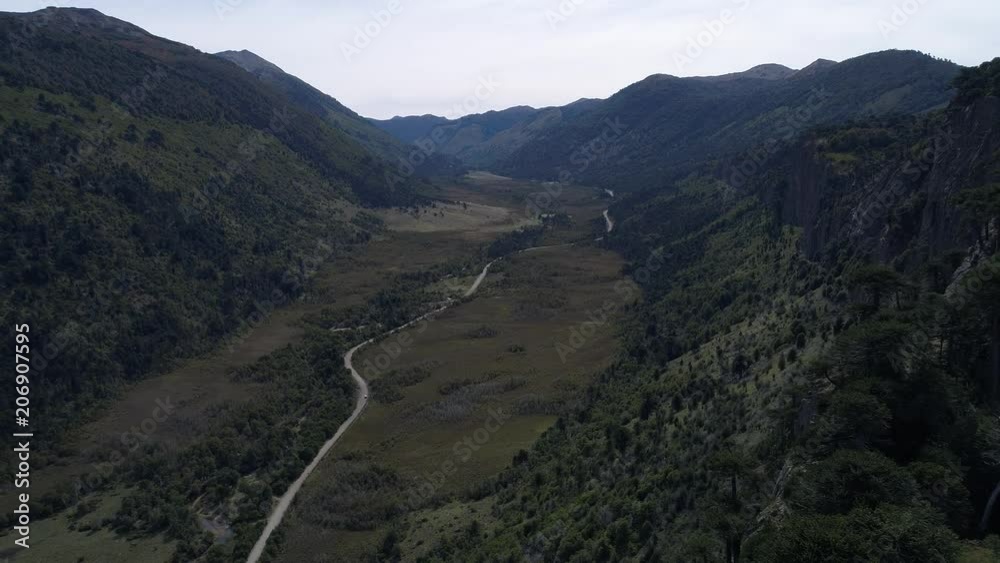 Aerial Drone Scene of a valley with a dirt road in a sunny day at autumn and the steppe with green trees and mountains. Camera moving forwards.
