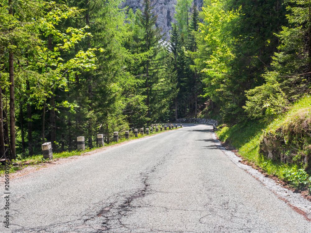 Fototapeta premium Serpentyna droga Słowenia las tło światło słoneczne