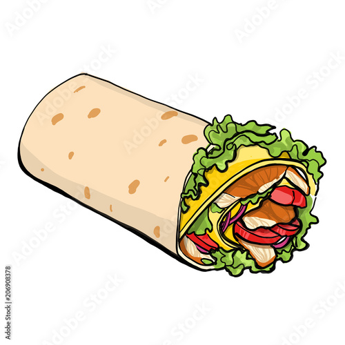 Shaurma vector illustration, chicken roll
