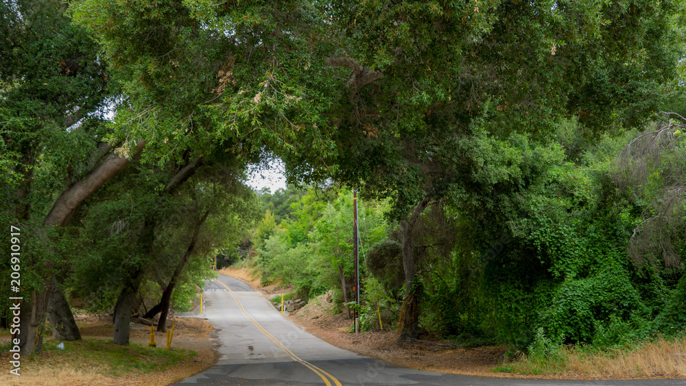 Fototapeta premium Temecula Wine Country