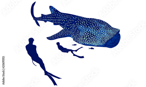 tiburon ballena