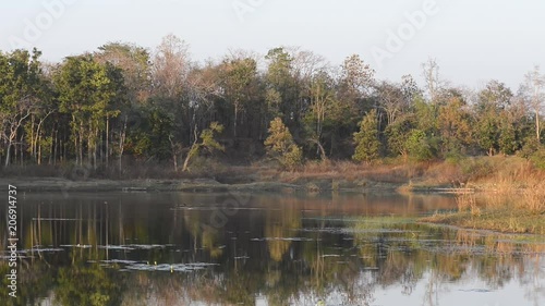 forest landscape with lake in national park in India