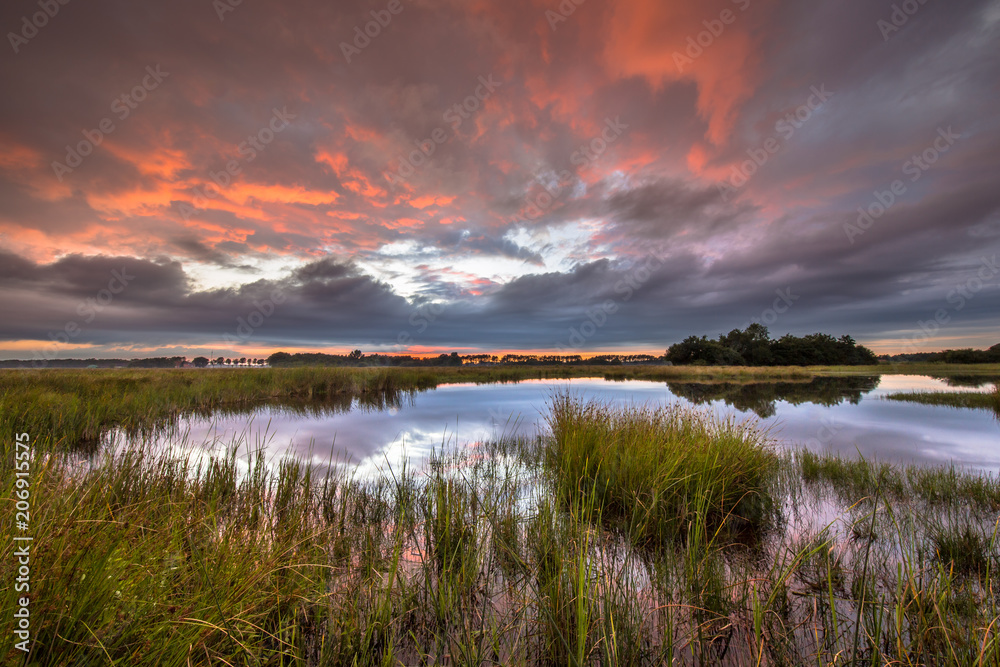 Dramatic sunset over marshland in natural landscape