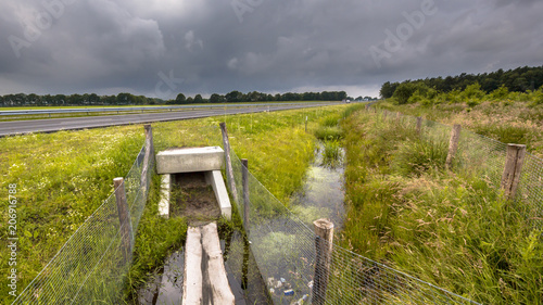 Obraz w ramie Square Wildlife crossing culvert underpass
