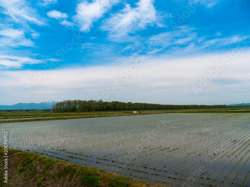 北海道の風景