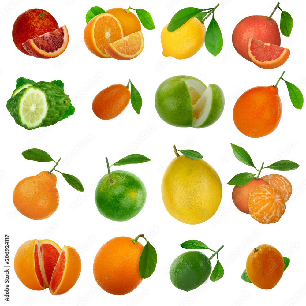 set of citrus fruits isolated