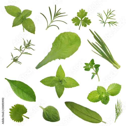 set of herbs isolated