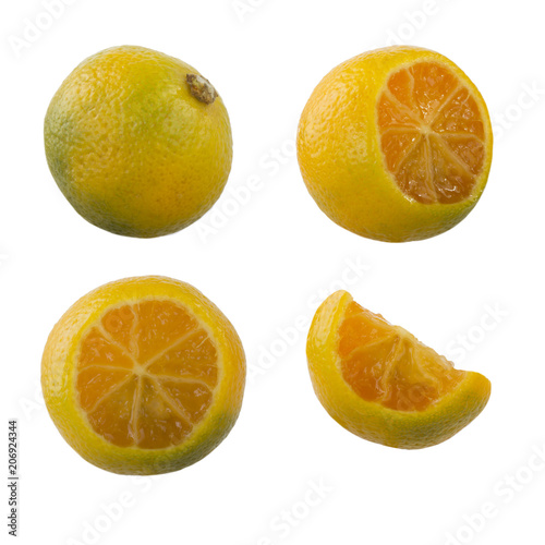 set of limequat isolated