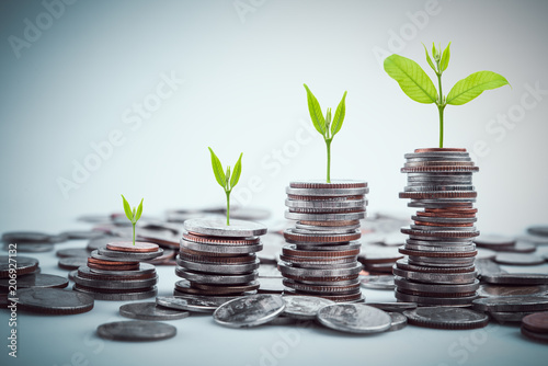rows of coins for finance and business,Saving money and account finance bank business concept.