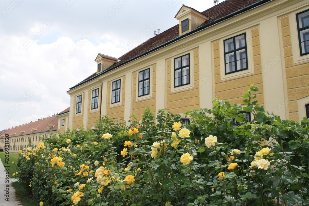 Gold roses in front of gold palace