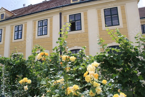 Gold roses in front of gold palace © Jessica