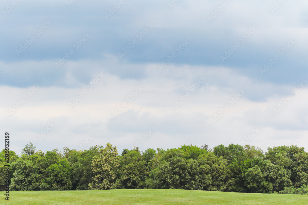 Naklejka premium green field and blue sky