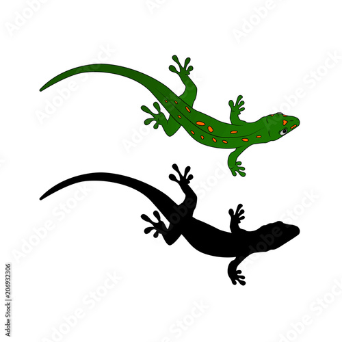 Vector Gecko   Silhouette