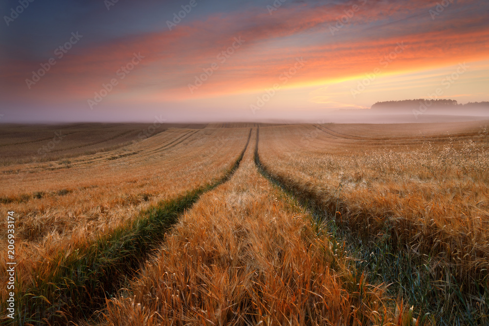Sunrise landscape amazing scenic field. / Extraordinary photography of summer countryside view in north Poland