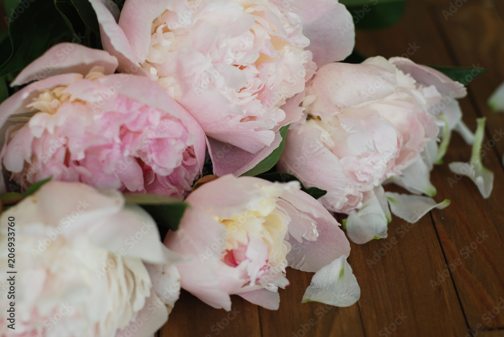 Fototapeta Różowy Peoniess Wiosna lato bukiet Mieszkanie Lay Drewniane tło Kopiowanie miejsca. Piękne świeże kwiaty Pik.