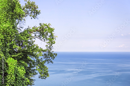 Fototapeta Naklejka Na Ścianę i Meble -  Natural landscape with blacksea in Georgia Botanical Garden.