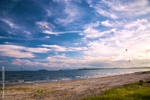 a beach on the sea, sand and waves, seagulls fly over the water.