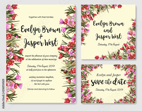 Set of card withred and pink waxflower, leaves. Wedding ornament concept. Floral magazine, poster, invite. Vector layout decorative greeting card or invitation