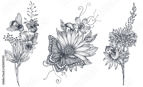 Set of three vector floral bouquets with black and white hand drawn herbs, wildflowers and insects