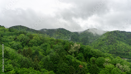 Mist and cloud flow over the green mountain in rainy season. photo