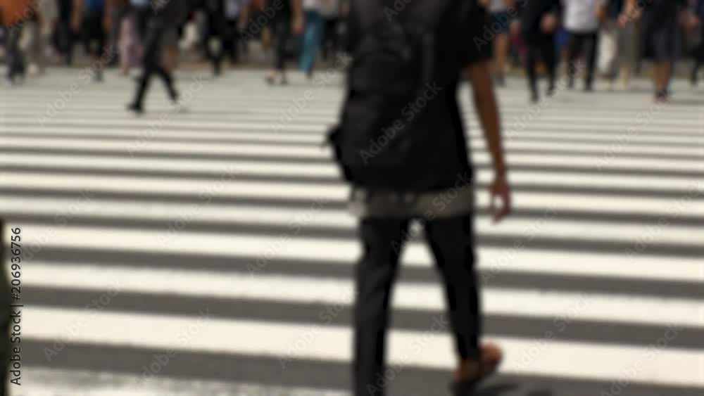 SHINJUKU, TOKYO, JAPAN - CIRCA MAY 2018 : Commuters and tourists at zebra crossing in front of SHINJUKU train station south gate side. In blurred image. SHINJUKU, TOKYO, JAPAN - CIRCA MAY 2018 : Commuters and tourists at zebra crossing in front of SHINJUKU train station south gate side. In blurred image.