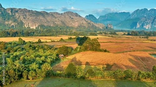 Wallpaper Mural Aerial rural mountain valley sunrise view. Aerial bird's-eye sunrise time view on valley landscape with karst mountains and rice fields. Laos, Vang Vieng. Torontodigital.ca