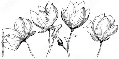 Magnolia in a vector style isolated. Full name of the plant: magnolia. Vector olive tree for background, texture, wrapper pattern, frame or border.