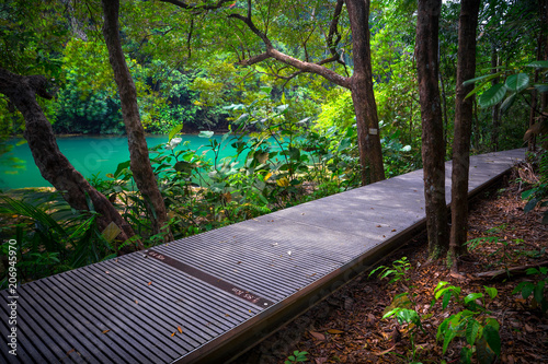 Photography Beautiful Hiking Path With Jungle Lagoon