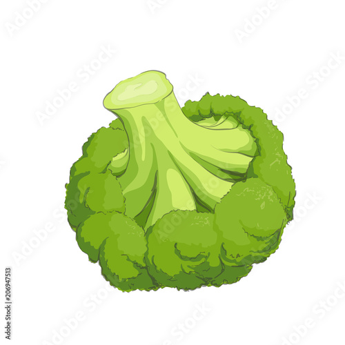 Green fresh broccoli