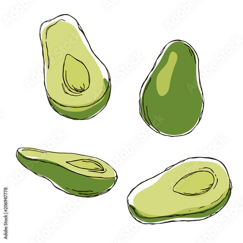 vector contour color green vegetable avocado 