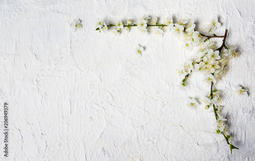Fototapeta Naklejka Na Ścianę i Meble -  White Lilac flowers arrangement on white fabric