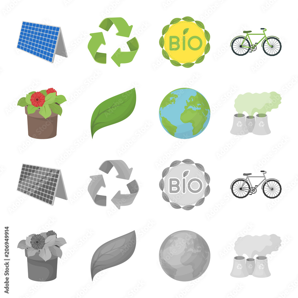A Processing Plant Flowers In A Pot A Green Leaf A Planet Earth Bio a-processing-plant-flowers-in-a-pot-a-green-leaf-a-planet-earth-bio