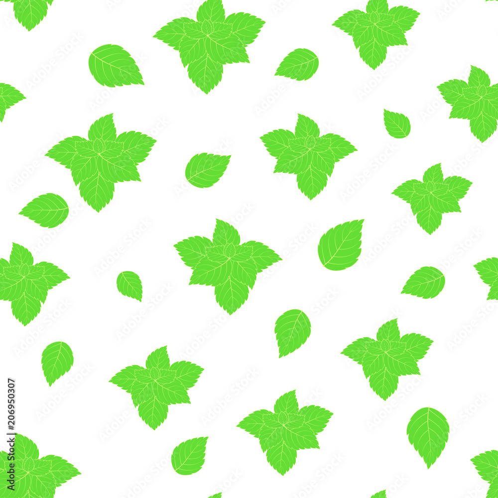 pattern with mint on white pattern with mint on white