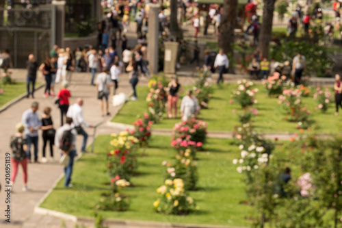 Wallpaper Mural landscape with houses and trees Torontodigital.ca