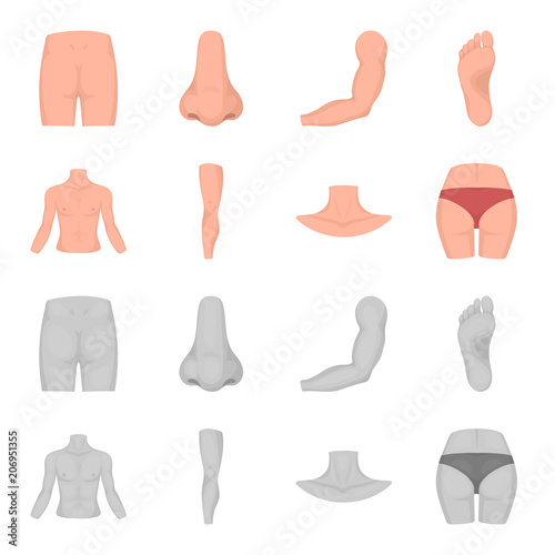 Torso, leg, neck and buttocks. Body parts set collection icons in cartoon,monochrome style vector symbol stock illustration web.