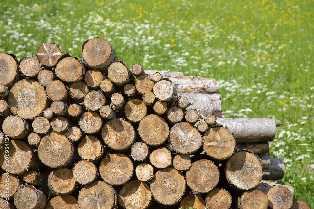 Holz - Stapel - Allgäu - Frühling - Wiese