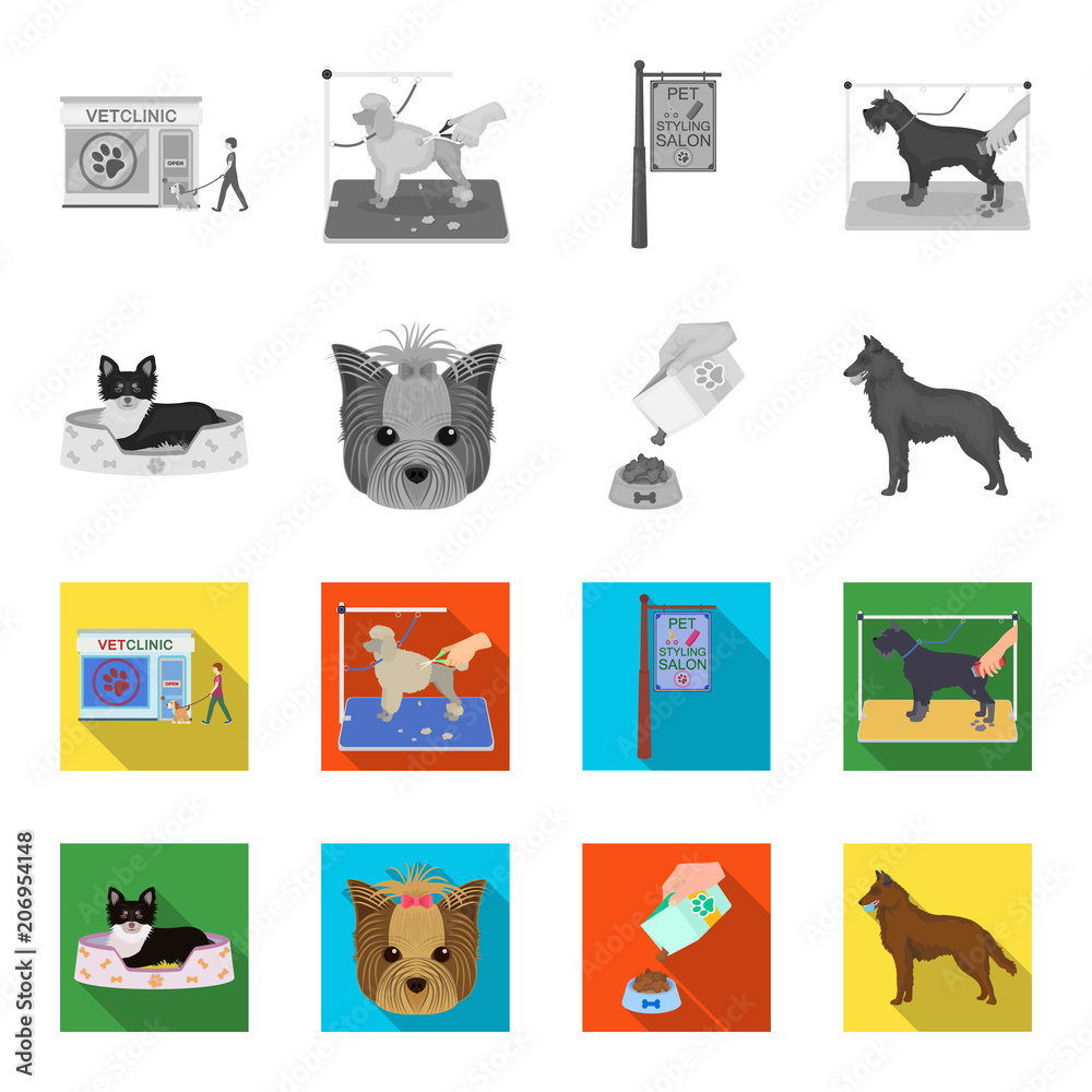 Do You Need A License To Look After Dogs