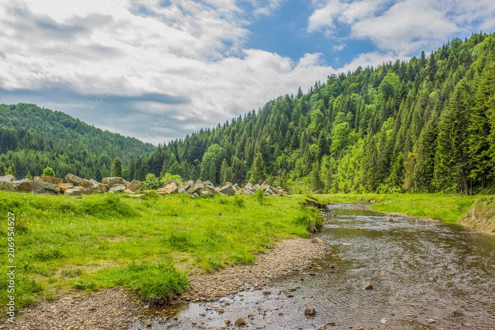green summer forest mountain landscape with river in valley somewhere on country side green summer forest mountain landscape with river in valley somewhere on country side