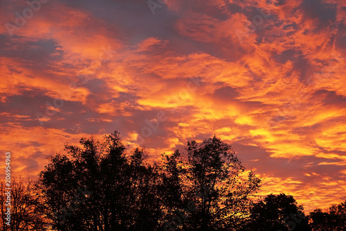 dramatic flaming sky with orange clouds and silhouetted trees at sunrise