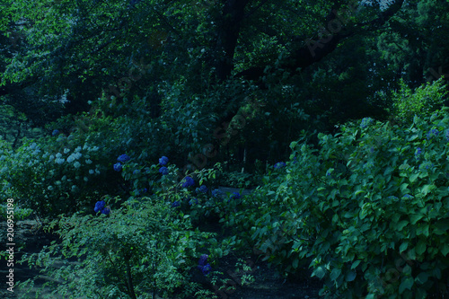 ナイトガーデン