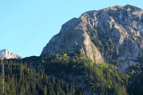 Fototapeta Naklejka Na Ścianę i Meble -  National Park Durmitor in Montenegro