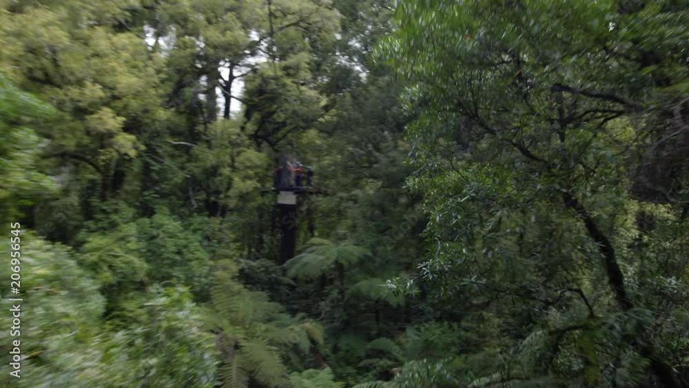 Point of view zipline in forest in New Zealand Point of view zipline in forest in New Zealand