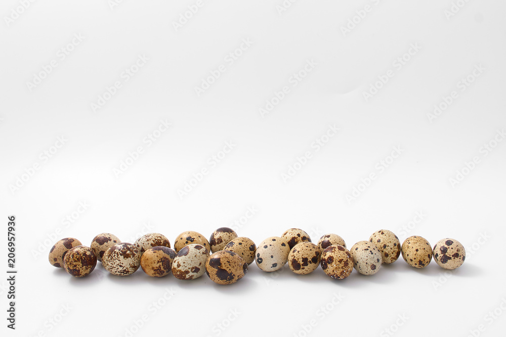 eggs quail spotted small on white background. eggs quail spotted small on white background.