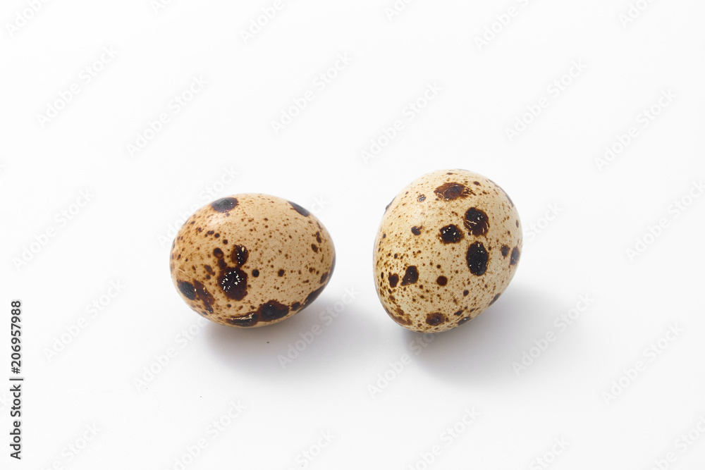 eggs quail spotted small on white background.
