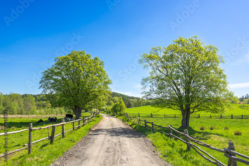 Fototapeta Naklejka Na Ścianę i Meble -  Rural countryside and farm landscape with country road