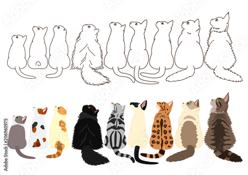 cats looking up sideways in a row