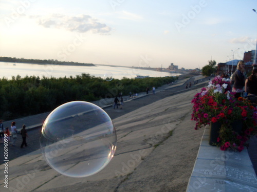 beauty in Nature, bubble, City, day, Flowering plant, focus on foreground, fragility, incidental people, Nature, outdoors, Plant, real people, Reflection, sky, Sphere, transparent, Transportation, vul photo